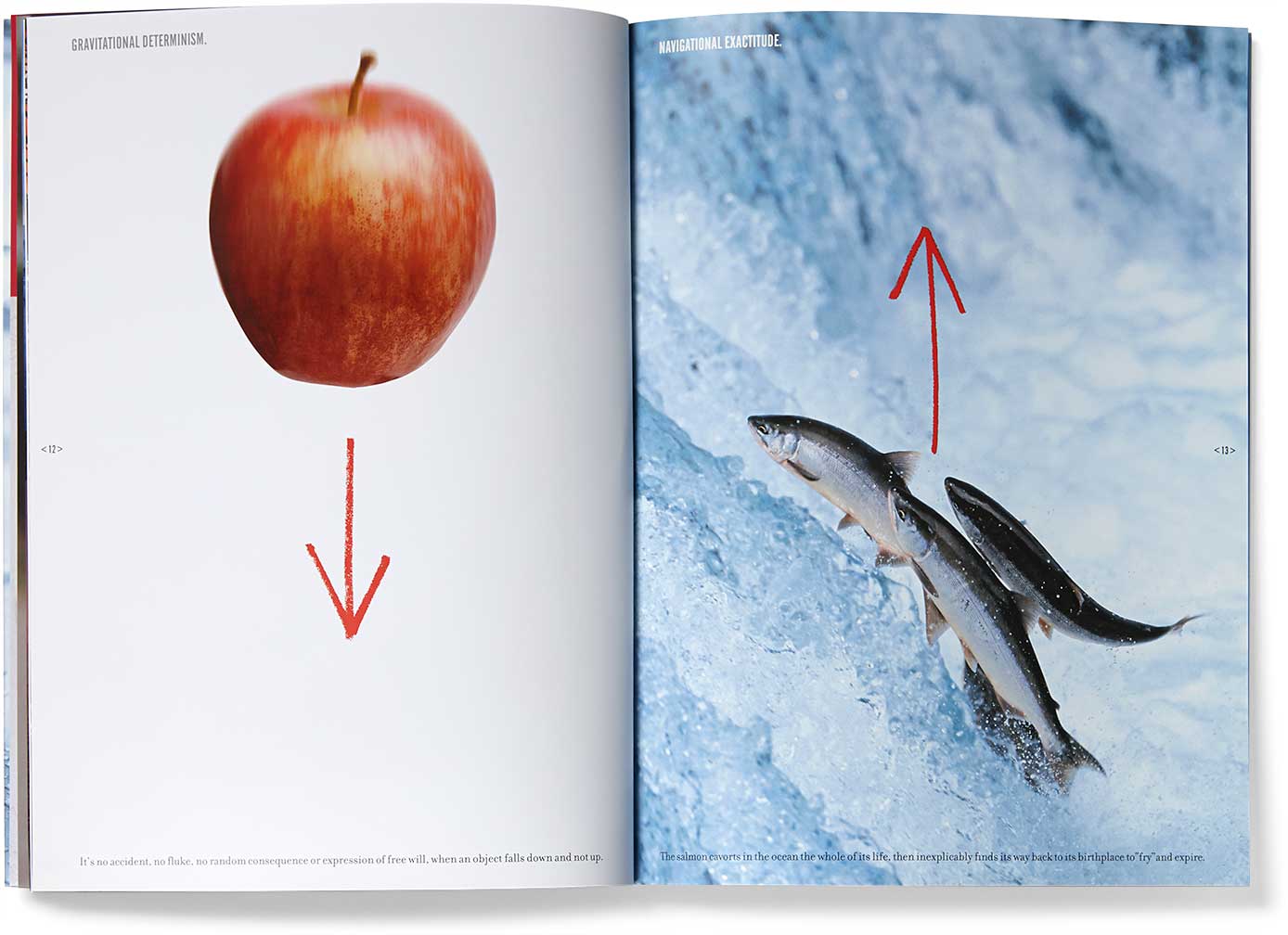 storaenso_depend-productolith-apple-fish_e.jpg Art Direction by: Bart Crosby, Crosby Associates